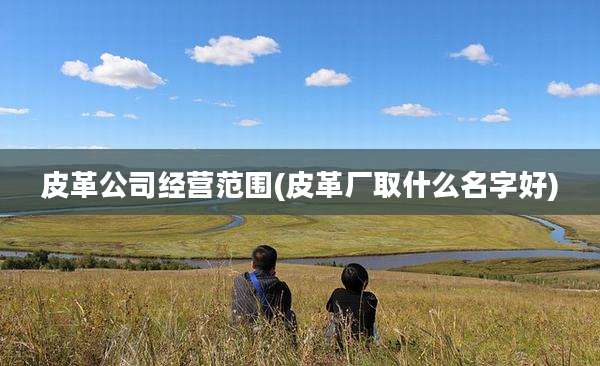 皮革公司经营范围(皮革厂取什么名字好)