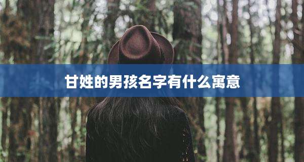 甘姓的男孩名字有什么寓意
