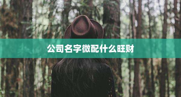 公司名字微配什么旺财