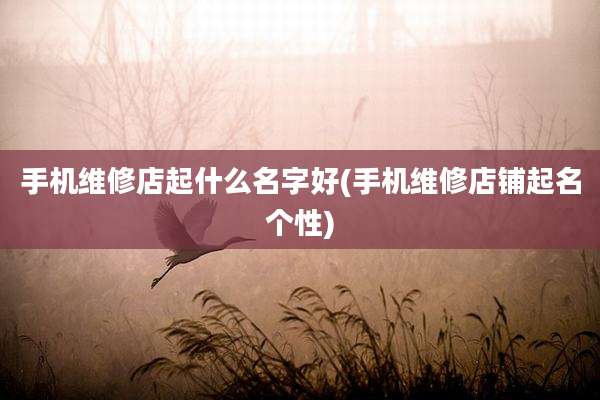 手机维修店起什么名字好(手机维修店铺起名个性)