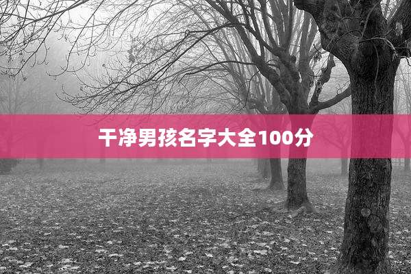 干净男孩名字大全100分