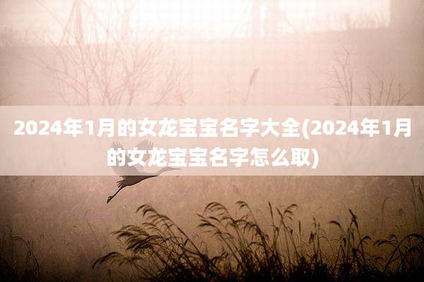 2024年1月的女龙宝宝名字大全(2024年1月的女龙宝宝名字怎么取)