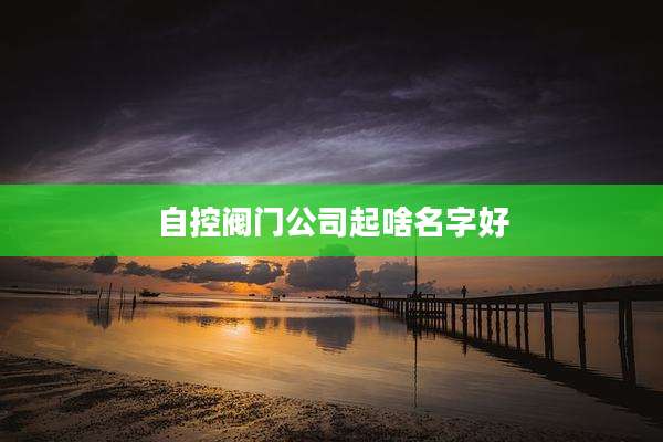 自控阀门公司起啥名字好