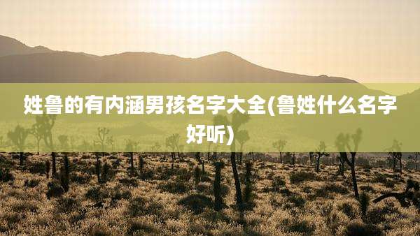 姓鲁的有内涵男孩名字大全(鲁姓什么名字好听)