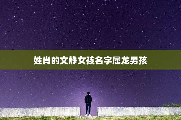 姓肖的文静女孩名字属龙男孩
