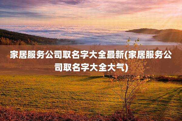 家居服务公司取名字大全最新(家居服务公司取名字大全大气)