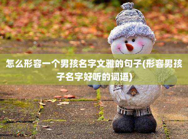 怎么形容一个男孩名字文雅的句子(形容男孩子名字好听的词语)