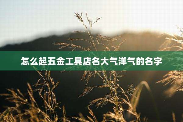 怎么起五金工具店名大气洋气的名字