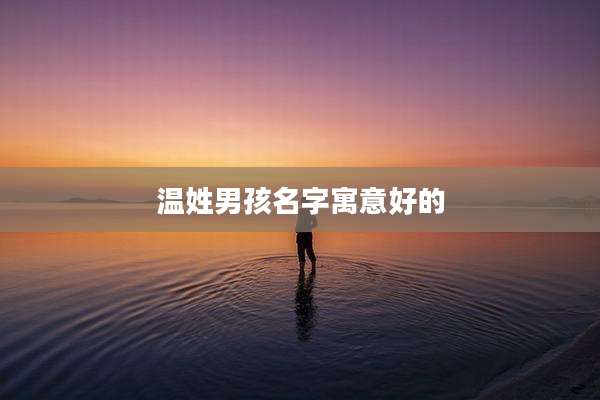 温姓男孩名字寓意好的