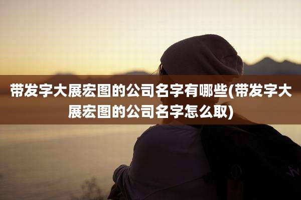 带发字大展宏图的公司名字有哪些(带发字大展宏图的公司名字怎么取)