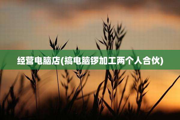 经营电脑店(搞电脑锣加工两个人合伙)