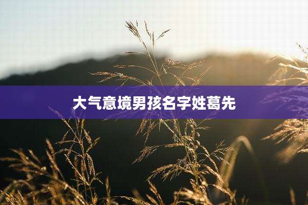 大气意境男孩名字姓葛先
