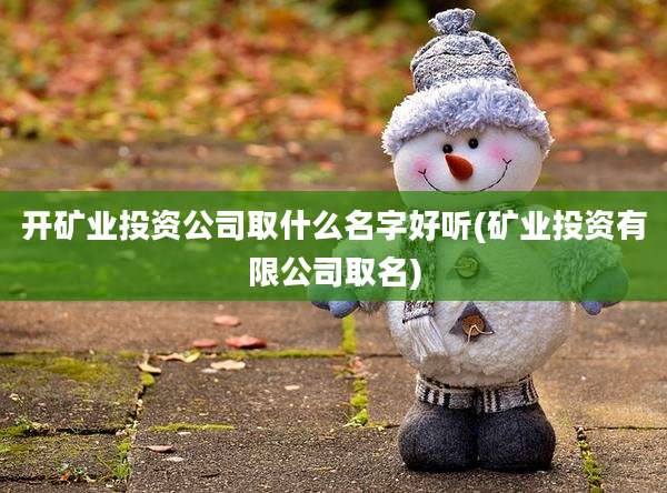 开矿业投资公司取什么名字好听(矿业投资有限公司取名)