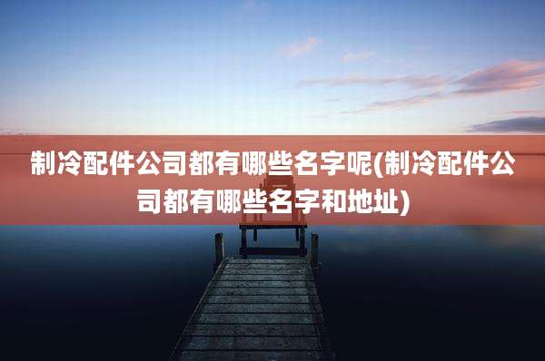 制冷配件公司都有哪些名字呢(制冷配件公司都有哪些名字和地址)