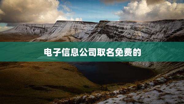 电子信息公司取名免费的