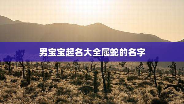 男宝宝起名大全属蛇的名字
