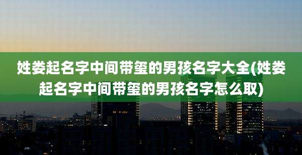 姓娄起名字中间带玺的男孩名字大全(姓娄起名字中间带玺的男孩名字怎么取)