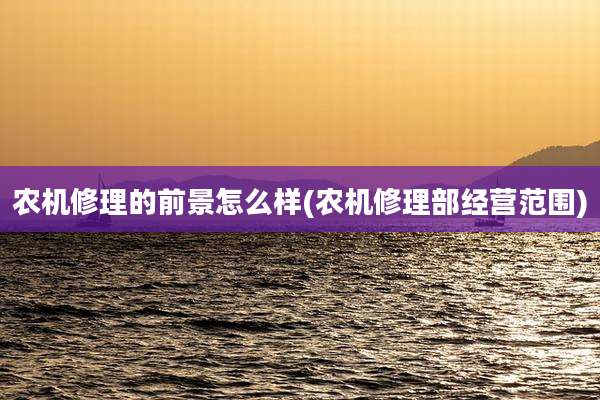 农机修理的前景怎么样(农机修理部经营范围)