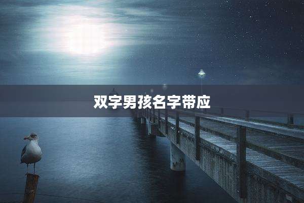 双字男孩名字带应