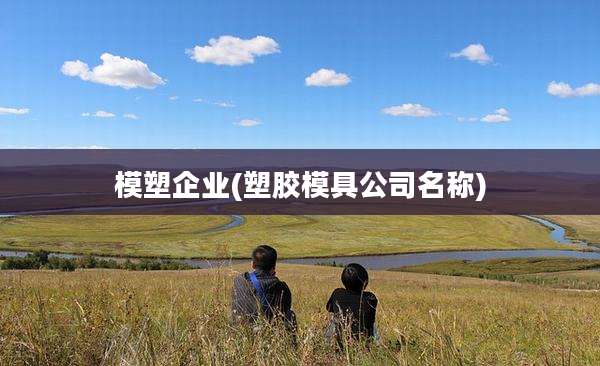 模塑企业(塑胶模具公司名称)