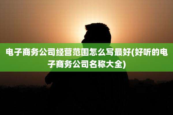 电子商务公司经营范围怎么写最好(好听的电子商务公司名称大全)