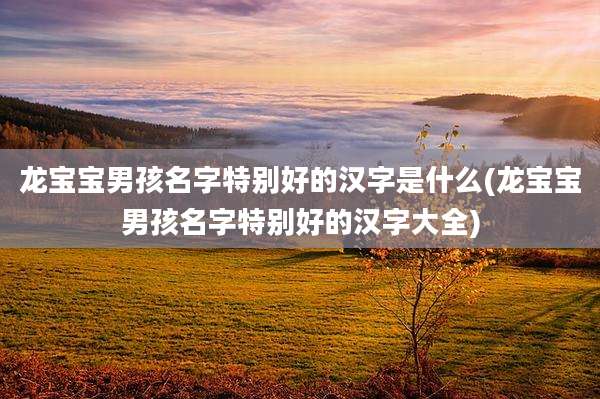 龙宝宝男孩名字特别好的汉字是什么(龙宝宝男孩名字特别好的汉字大全)