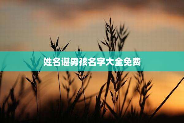姓名谌男孩名字大全免费