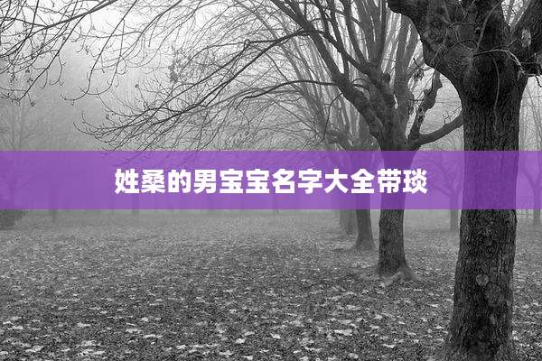 姓桑的男宝宝名字大全带琰