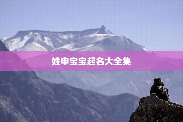 姓申宝宝起名大全集