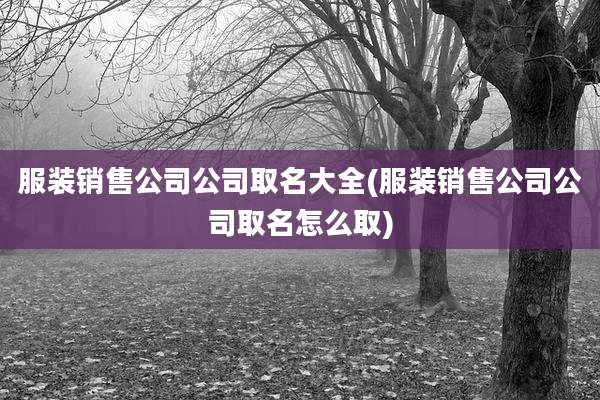 服装销售公司公司取名大全(服装销售公司公司取名怎么取)