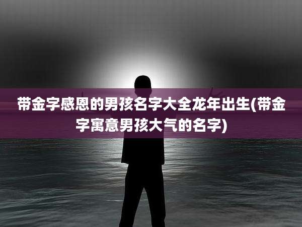带金字感恩的男孩名字大全龙年出生(带金字寓意男孩大气的名字)