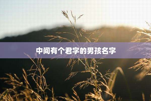 中间有个君字的男孩名字