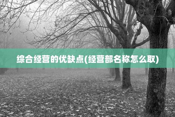 综合经营的优缺点(经营部名称怎么取)
