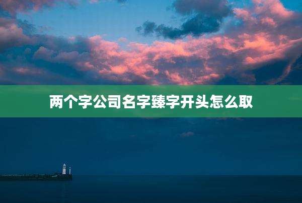 两个字公司名字臻字开头怎么取