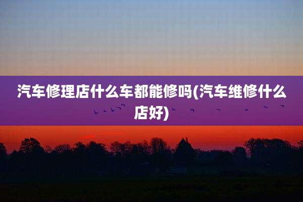 汽车修理店什么车都能修吗(汽车维修什么店好)
