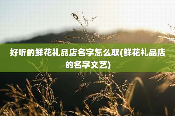 好听的鲜花礼品店名字怎么取(鲜花礼品店的名字文艺)