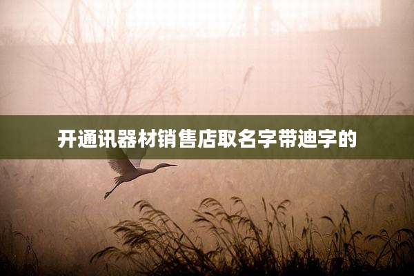开通讯器材销售店取名字带迪字的