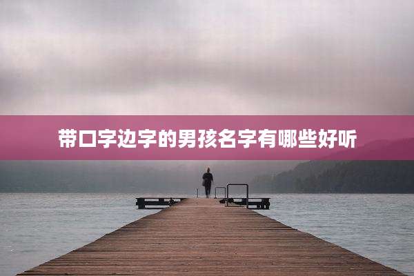 带口字边字的男孩名字有哪些好听