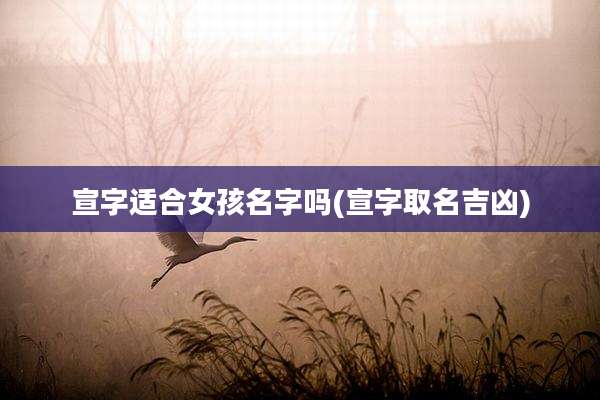 宣字适合女孩名字吗(宣字取名吉凶)