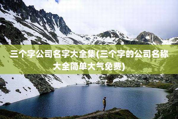 三个字公司名字大全集(三个字的公司名称大全简单大气免费)