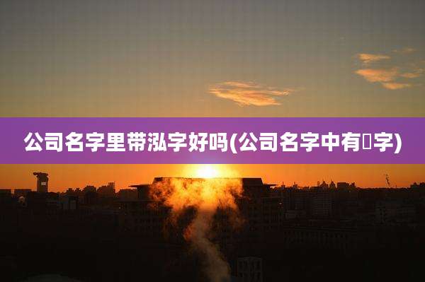 公司名字里带泓字好吗(公司名字中有曌字)