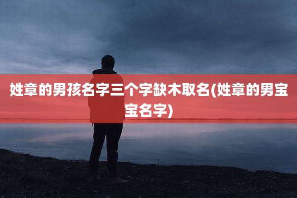 姓章的男孩名字三个字缺木取名(姓章的男宝宝名字)