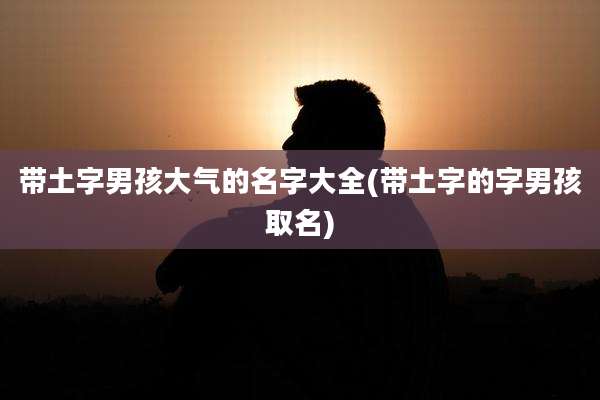 带土字男孩大气的名字大全(带土字的字男孩取名)