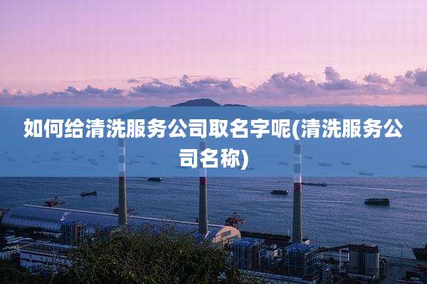 如何给清洗服务公司取名字呢(清洗服务公司名称)