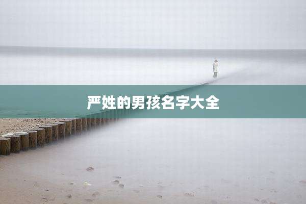 严姓的男孩名字大全