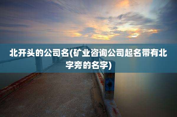 北开头的公司名(矿业咨询公司起名带有北字旁的名字)
