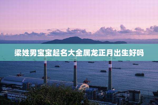 梁姓男宝宝起名大全属龙正月出生好吗