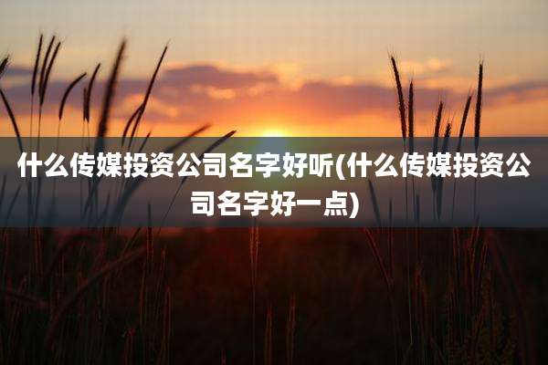 什么传媒投资公司名字好听(什么传媒投资公司名字好一点)