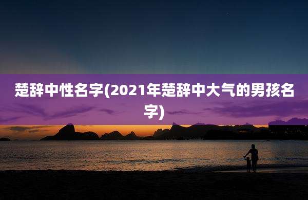 楚辞中性名字(2021年楚辞中大气的男孩名字)
