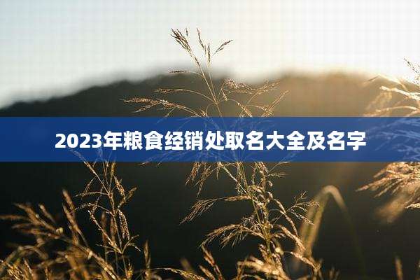 2023年粮食经销处取名大全及名字